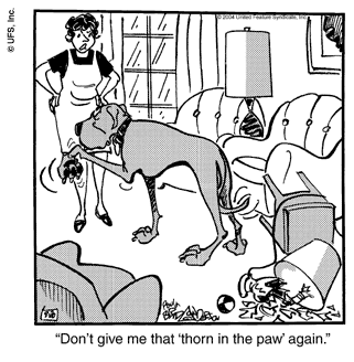 marmaduke